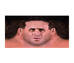 Ken Shamrock