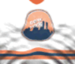 New York Skyliners Home