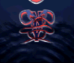 New York Vipers Third