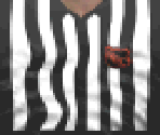 NHL Referee