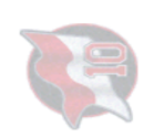 Buffalo