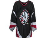 Buffalo Home
