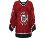 Dallas Vintage 1976 (Cleveland Barons Away)