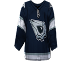 Edmonton Alternate