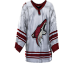 Phoenix Away