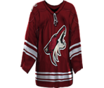 Phoenix Home
