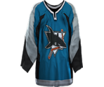 San Jose Home