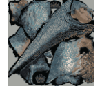 Aladar