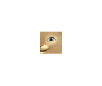 E.B.