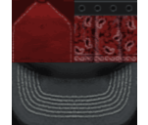 Cap and Band Red