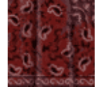 Red Bandana