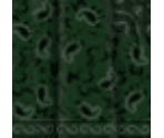 Gang Bandana
