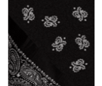 Black Rag