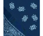 Blue Rag