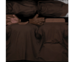 Brown Shirt