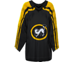 Kärpät Home