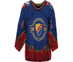 Djurgården Home
