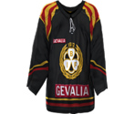 Brynäs Home
