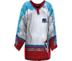 Kassel Away