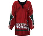 Augsburg Home