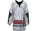 Augsburg Away