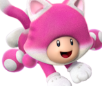 Toadette (SM3DW)