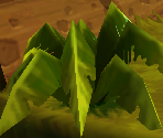 Ferns