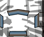 Sport Zebra