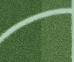 Stadium