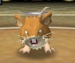 #020 Raticate