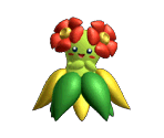 Bellossom Trophy