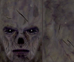 Draugr