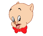 Porky Pig