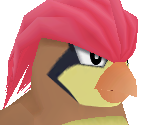 Pidgeotto