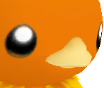 Torchic