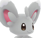 Minccino