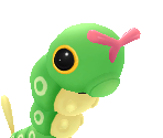 Caterpie