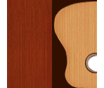 Acoustic Guitar