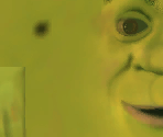 Shrek