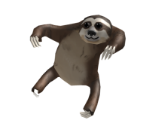 Shoulder Sloth