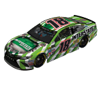 #18 Kyle Busch (Auto Club)