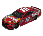 #18 Kyle Busch (Phoenix)