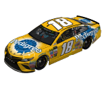 #18 Kyle Busch (Dover)