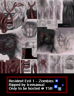 Resident Evil: Director's Cut - Tyrant