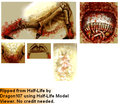 Half-Life - Headcrab