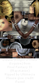 Zidane (Knight of Pluto)