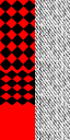 checkerboard shirt