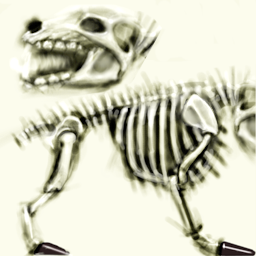 Skeleton Krug Dog
