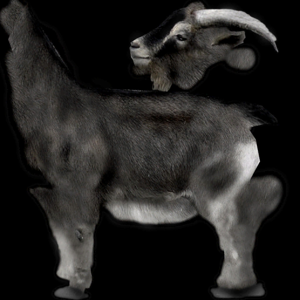 Wildlife Park 2 - Goat (Melanism)