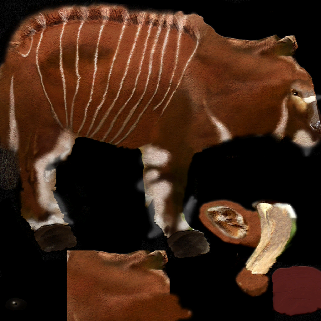 Bongo